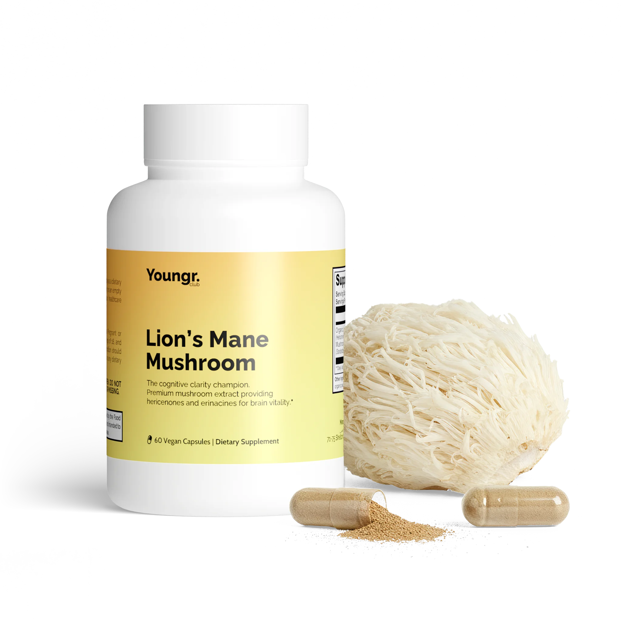 Lion's Mane Mushroom