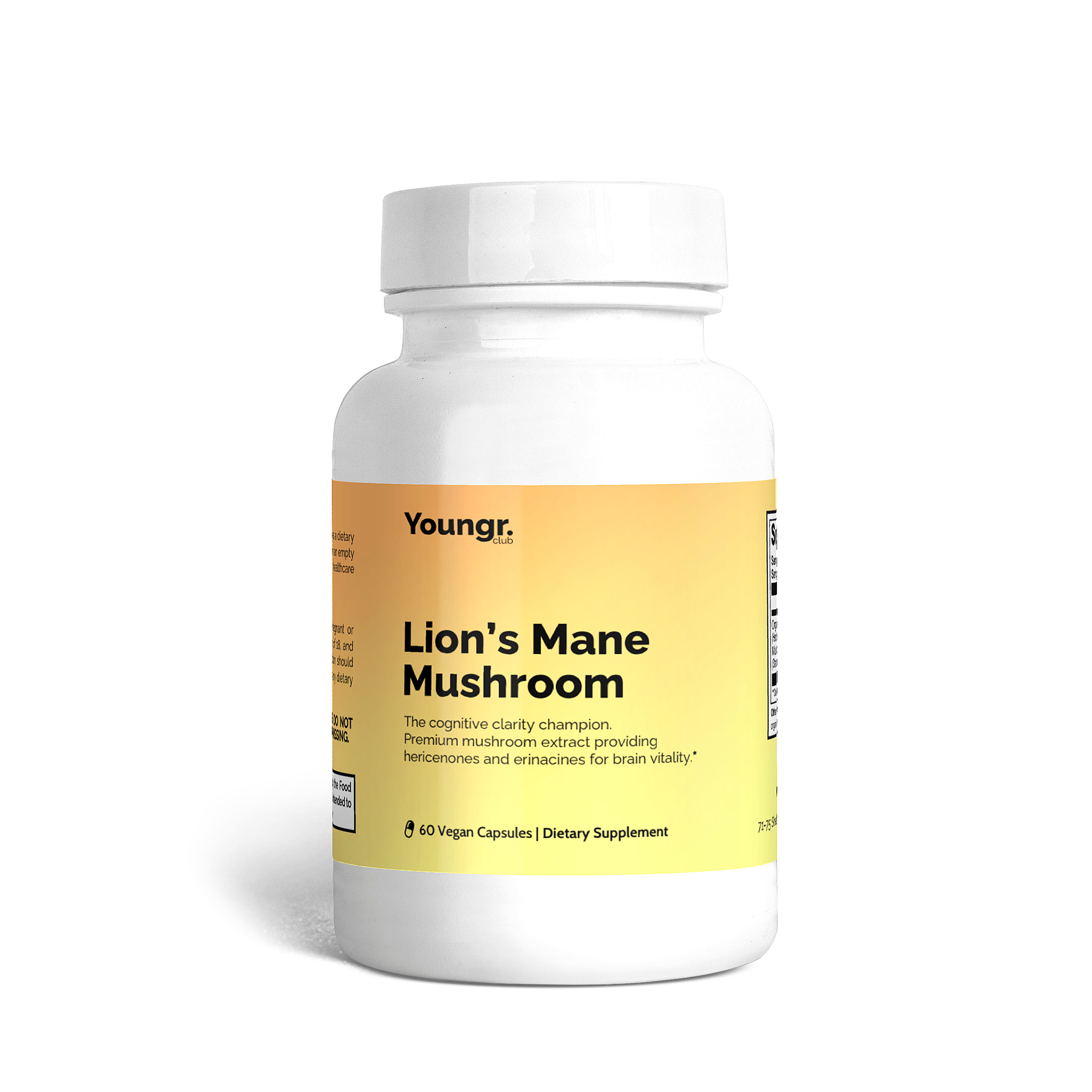 Lion's Mane Mushroom