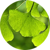 Ginkgo Biloba + Ginseng